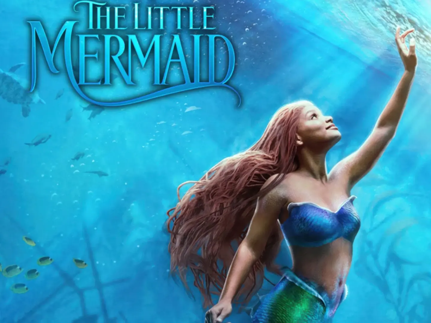 https://www.videos-archive.com/storage/Movie/English/Thumbnail/[2023-05] The Little Mermaid.webp